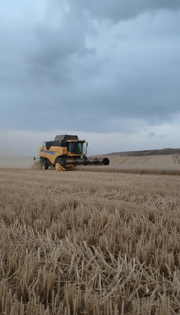 земельные участки на продажу: 200 соток, Для сельского хозяйства, Купчая, Бялядия (муниципалитет), Техпаспорт — 2