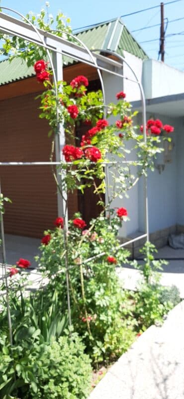 дом в ивановке: Вишневка 6 комнат, 220 м², Нет кредита, Свежий ремонт — 26