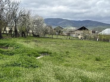 montinde kiraye evler 2025: 10 sot, Kənd təsərrüfatı, Mülkiyyətçi, Kupça (Çıxarış), Bələdiyyə — 4