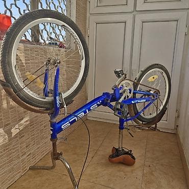 focus velo: İki təkərli Uşaq velosipedi Stels, 20", sürətlərin sayı: 1 — 2