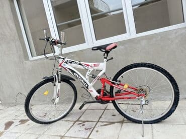 i̇dman formaları (i̇dman kostyumları): İşlənmiş Dağ velosipedi 26" — 1