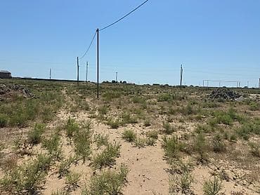 Tikinti, Makler, Kupça (Çıxarış) lalafo.az -da Tikinti, Makler, Kupça (Çıxarış)