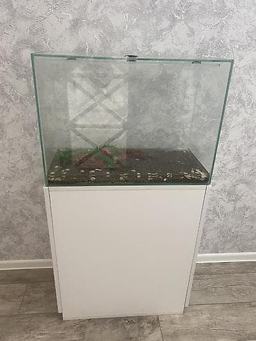 gence akvarium: Dördbucaq akvarium, Boş, 90 l, Ünvandan götürmə, Ödənişli çatdırılma — 2