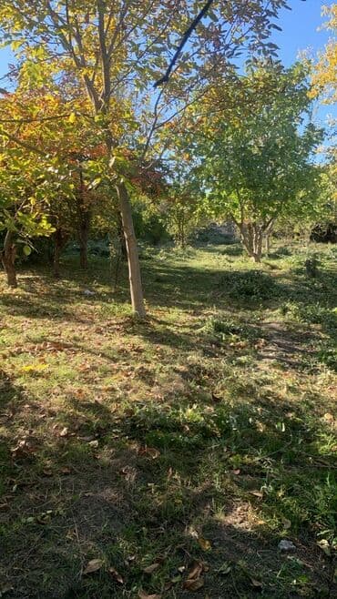 bakixanov kiraye ev: 6 otaqlı, 1700 kv. m, Təmirsiz — 18