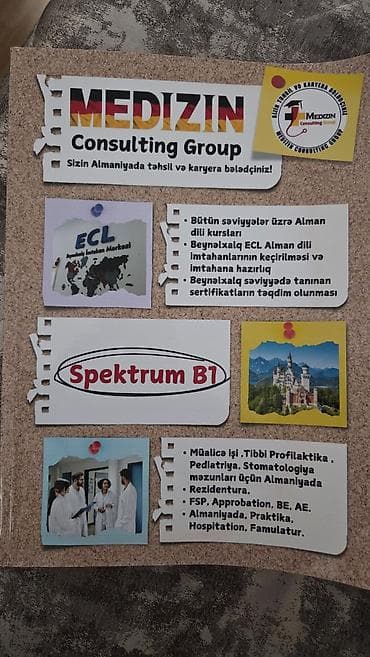 ana dili defteri: Alman dili kitabı B1 səviyyə — 2