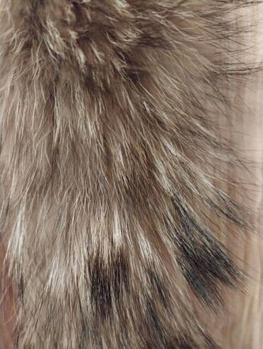 шуба из овчины азербайджанская: Натуральный мех для воротника — 3