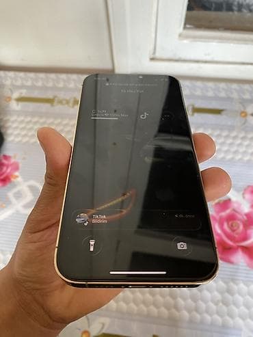 mini sok çəkən: IPhone 12 Pro Max, 128 GB, Qızılı, Face ID — 4