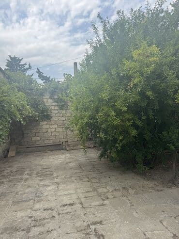 yeni emlak goycay: Həyət evi – daş hasarlı, tam münbit həyət sahəsi - Geniş, daş — 4