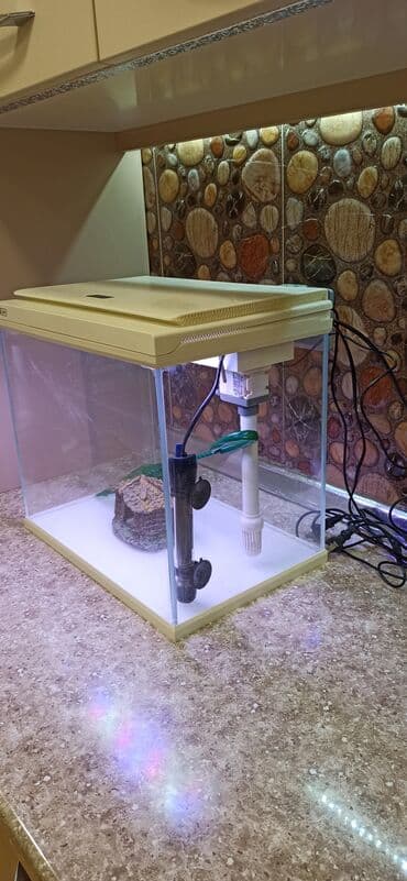 Gəmiricilər: Dördbucaq akvarium, Boş, 31 l — 3