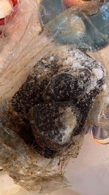 səs izolyasiya: Artemia buzlu halda baliqlarin rengini gozelleshdirir aktiv edir en — 1