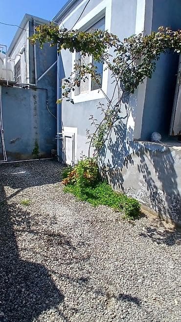 gündəlik kirayə evlər: 2 otaqlı həyət evi - Plan: giriş pilləkənli eyvan, 2 ayrı otaq (yataq — 6