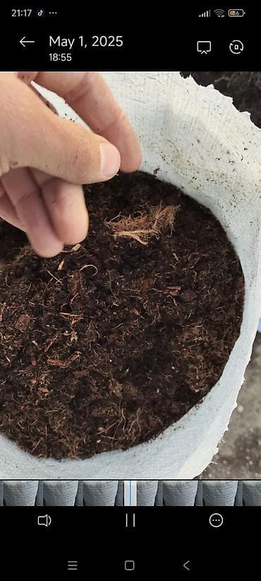 əkil: Məhsul: “Yaşıl Həyat” EkoTorf – bitkilər üçün torf qarışığı Həcm: 20 — 8