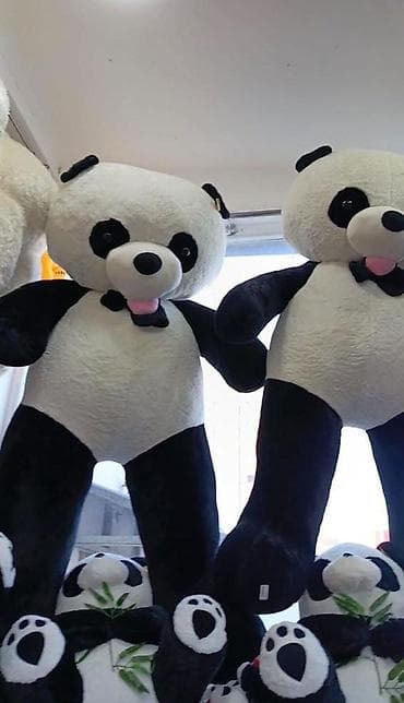 oyuncaq fiqurlar: Panda 1.60sm 2metr satisdadir 8 Marta Hədiyyən hələdə hazır deyil? — 1