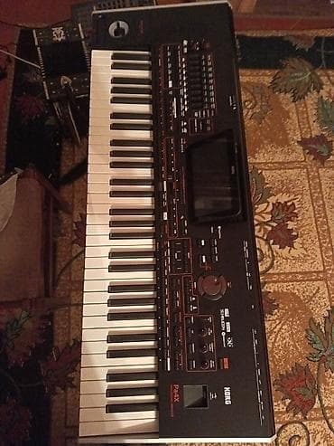 kross evado 3: Sintezator, Korg — 1