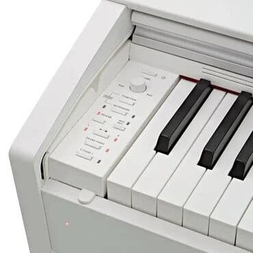 стул для пианино: Piano, Casio, Rəqəmsal, Yeni, Ünvandan götürmə, Pulsuz çatdırılma, Rayonlara çatdırılma — 4