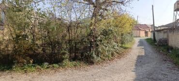 quba amsar: 4 sot, Maklerlər narahat etməsin, Kupça (Çıxarış) — 6