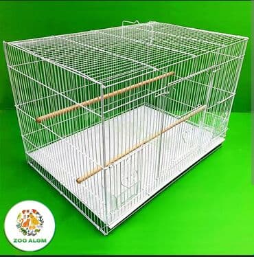 большая клетка для попугая: Tutuquşu qəfəsi. Qəfəs valyer (arakəsməsiz) Qəfəsin ölçüsü 60sm eni — 2