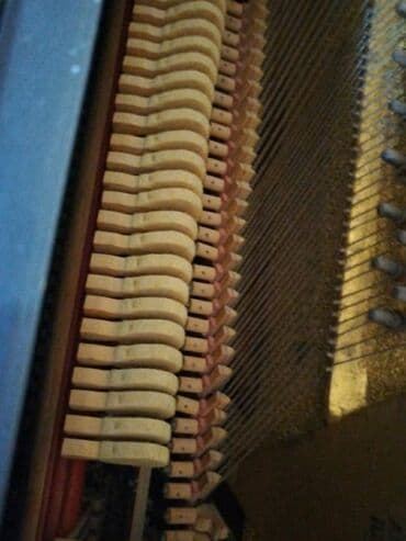 Belarus Pianino satilir