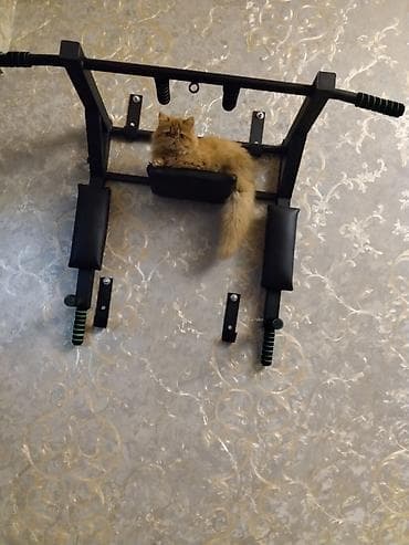 pers pisiyi: Fars — 7