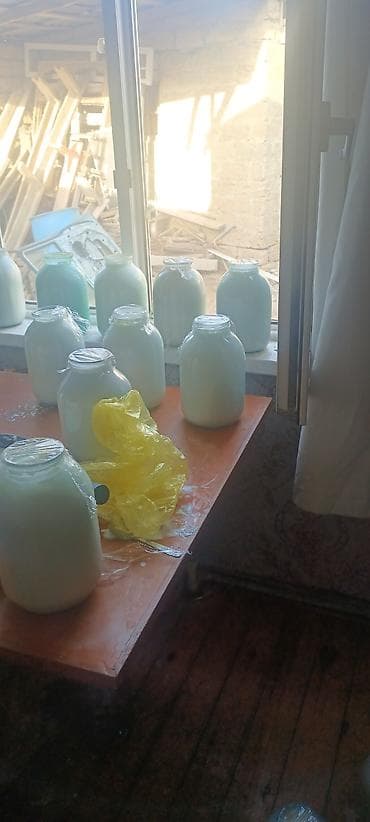 Ləpələr: Məhsul: Şüşə bankalarda təbii qatıq. Təsvir: - Evin şəraitində — 2