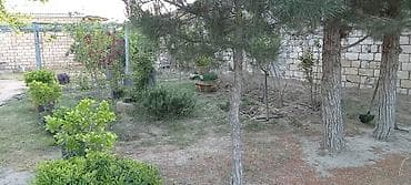 satlig evler kurdexani: 5 otaqlı, 110 kv. m, Orta təmir — 3