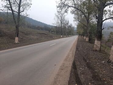 xacmazda torpaq qiymetleri: 24 sot, Mülkiyyətçi, Kupça (Çıxarış) — 7