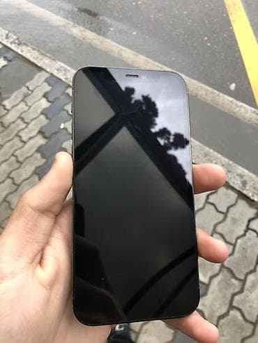 iphone xoş max: IPhone 12 Pro, Pacific Blue — 2