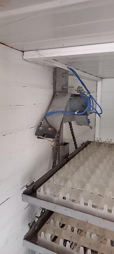 inkubatora: Yumurta inkubasiya aparatı – “Automatic Computer Control Incubator” — 5