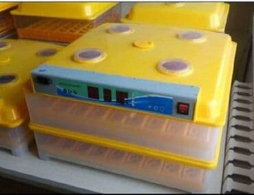 inkubator 56: Nkubator inkubatorlarin birinci əl satişi mağazamizda olan inkubator — 2