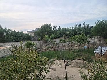 nar bagi: 3 sot, Tikinti, Mülkiyyətçi, Texniki pasport, Kupça (Çıxarış) — 1