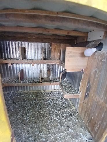 Heyvanlar üçün mallar: Taxta Quşxana 30 40 ədəd quş tutur - Material: ağac karkas, daxili — 4