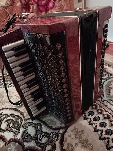 mayga piano: Akustik Akkordeon, İşlənmiş — 3