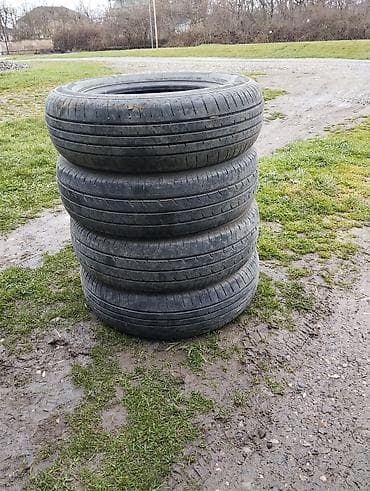 4 ədəd avtomobil yay şini komplekti - Növ: yay/uzunömürlü (asfalt