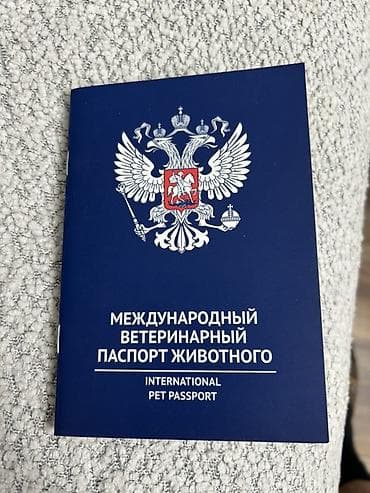 kuckar ov iti: Pekines, 5 ay, Erkek, Peyvəndli, Pulsuz çatdırılma — 5