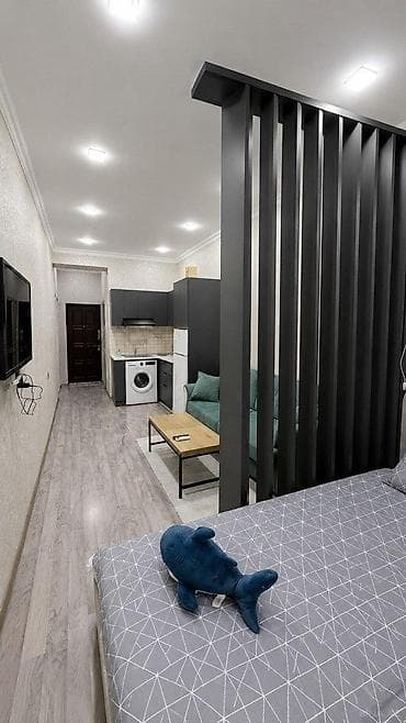 studio menziller: İcarəyə verilir 1 otaqlı yeni tikili 40 m², Nəsimi r. Kateqoriya Yeni — 3