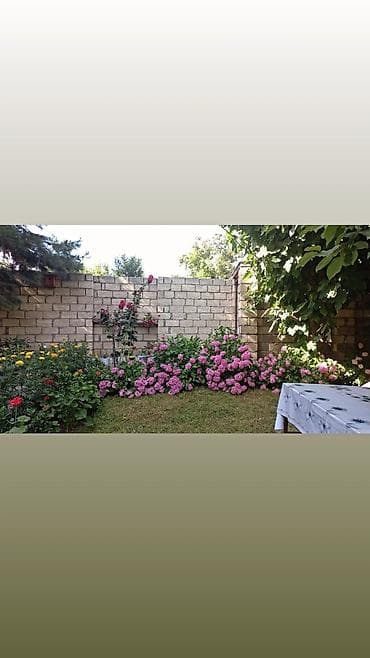 merdekan ev satilir: 🏡 Salam,Qəbələdə yerləşən rahat və geniş evimizi günlük kirayə — 5