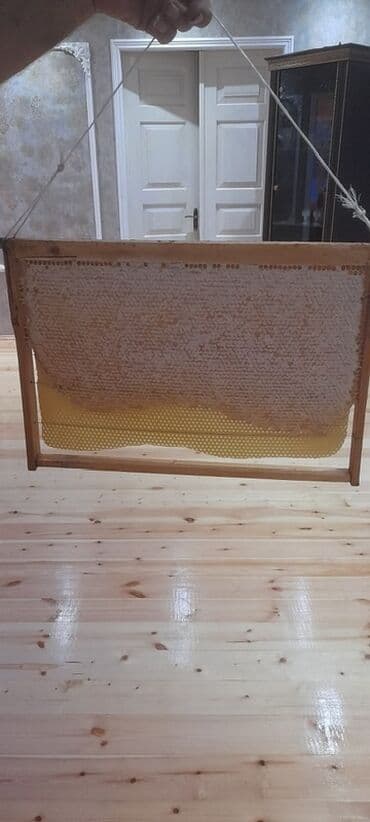 sacaqli pendir: Məhsul: Təbii pətək balı Təsvir: - Arı çərçivəsindən kəsilmiş, tam — 1