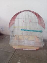 çardaq quşun yuvası: Papuqay və amadin üçün qəfəs. Real alıcı buyurub əlaqə saxlaya bilər — 1