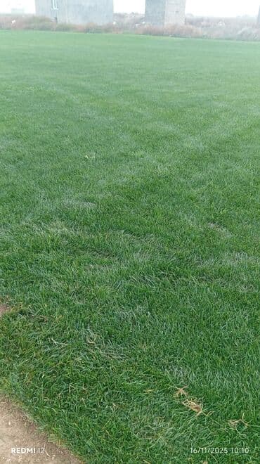 mx group inşaat: Kənd təsərrüfatı, Mülkiyyətçi — 23