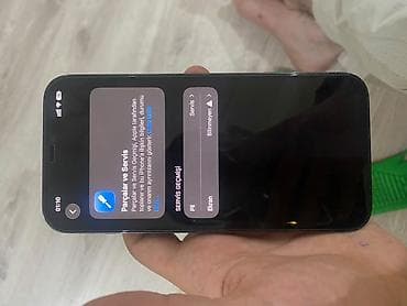 IPhone 12 Pro Max, Qara