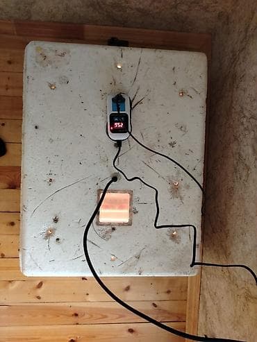 elektirik paneli: Rəqəmsal temperatur nəzarətçisi – XK-W2002 - Cihaz üzərində — 2