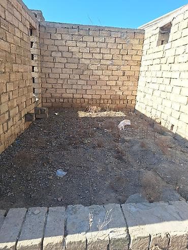 bine qesebesinde: Kənd təsərrüfatı — 6