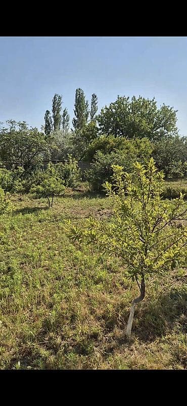 1 sot torpaq satilir: Bağ evi və geniş həyətyanı sahə - Yaşıl, meyvə ağacları ilə zəngin — 1
