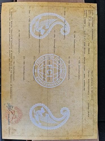 tuklu itler: Alman çoban iti, Peyvəndli — 7