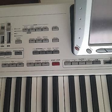 bayan musiqi aleti: Sintezator, Korg — 5