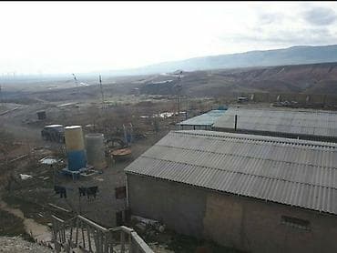 Ferma kompleksi – heyvandarlıq və yem anbarları - Dağətəyi geniş