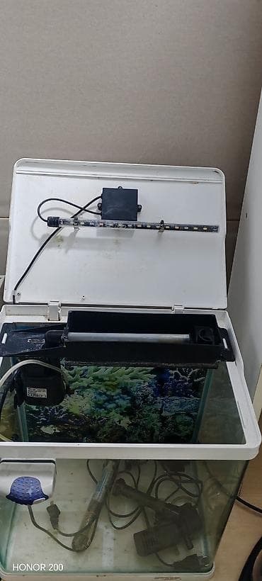 baliqlar: Akvaryum dəsti – tam komplekt Tərkib: - Şüşə akvaryum (üst qapaqla — 7