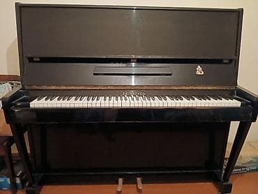 Piano, Belarus, Akustik, İşlənmiş, Ünvandan götürmə