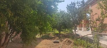 Квартиры: Поселок Сураханы 3 комнаты, 120 м², Нет кредита, Свежий ремонт — 2