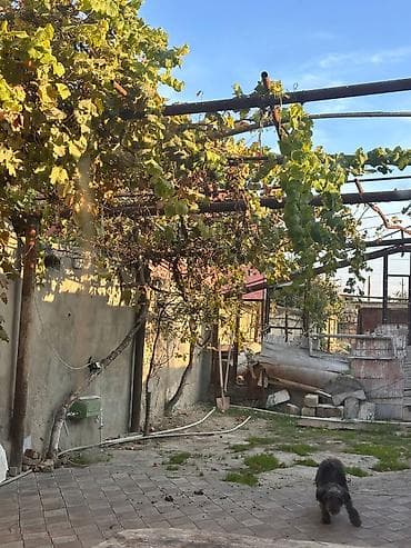 satlig evler bine: 200 kv. m, 6 otaqlı — 6